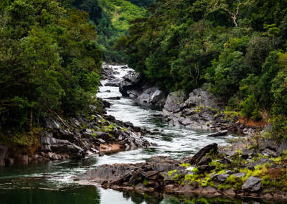 Coach Travel Quality Service - Premium Fleet Visakhapatnam